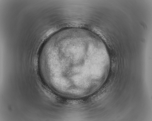 X0000111680679200907311220