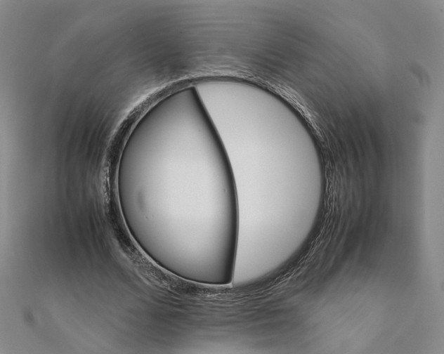 X0000111680680200907311220