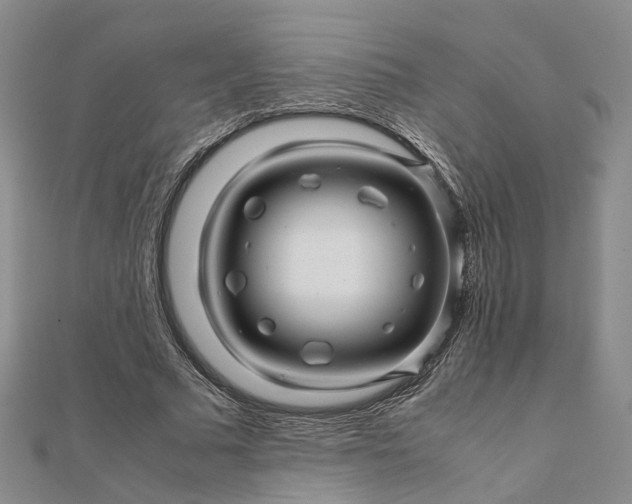 X0000111680681200907311220