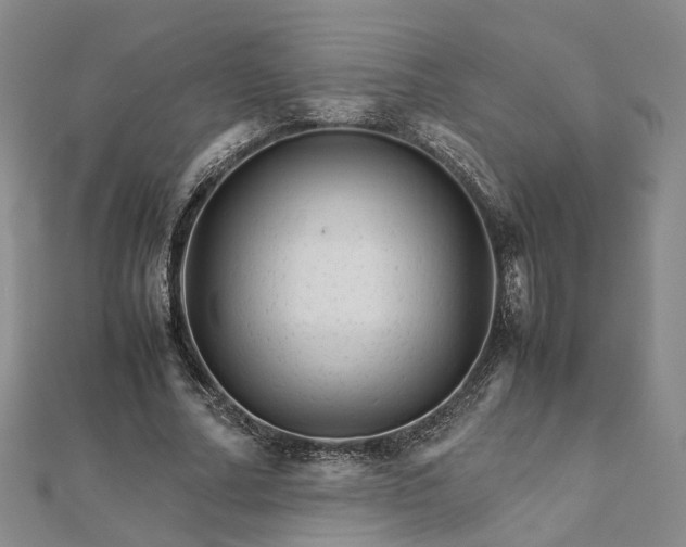 X0000111680682200907311220