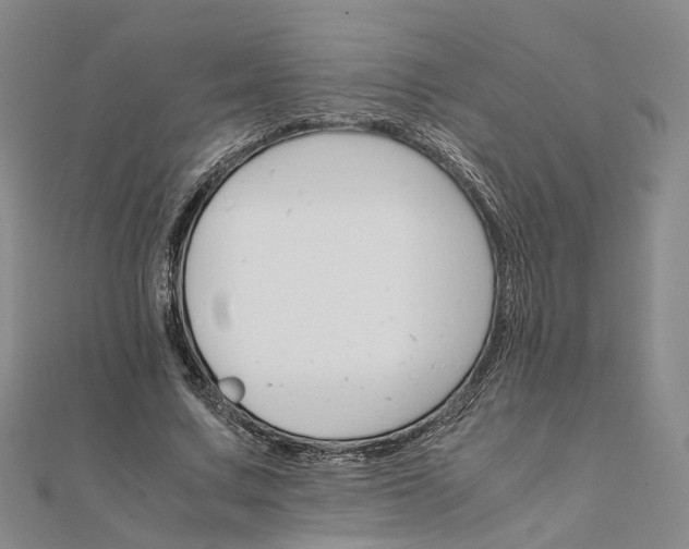 X0000111680683200907311220