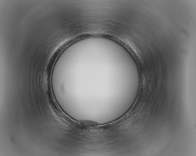 X0000111680684200907311220