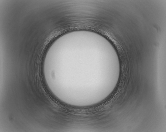 X0000111680685200907311220