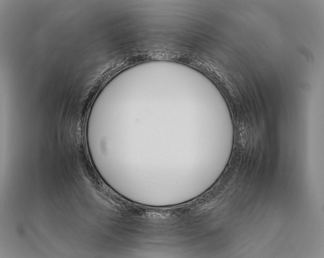 X0000111680690200907311220