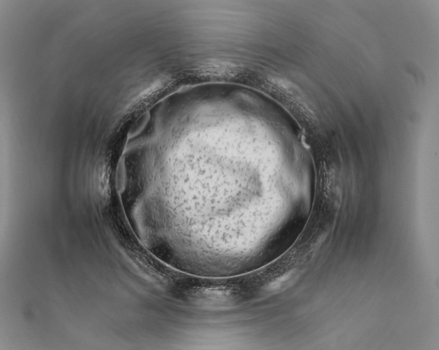 X0000111680692200907311220