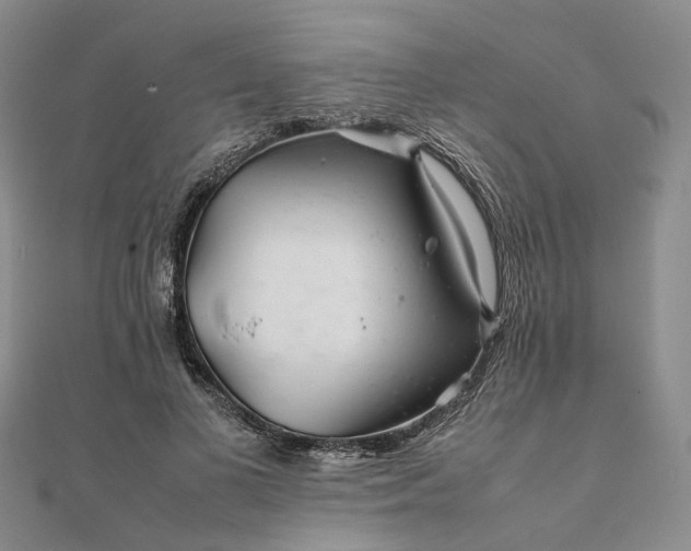 X0000111680693200907311220