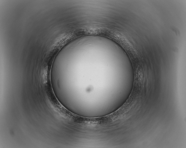 X0000111680694200907311220