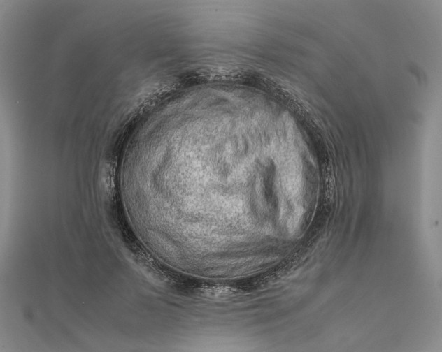 X0000111680695200907311220