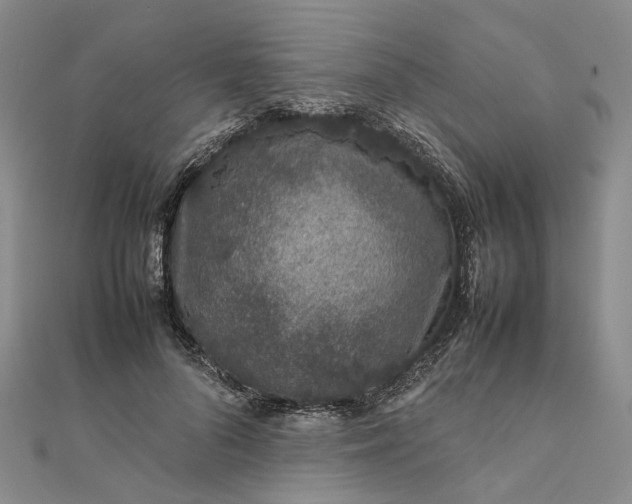 X0000111680696200907311219