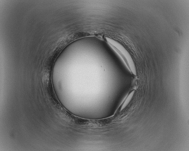 X0000111680697200907311219