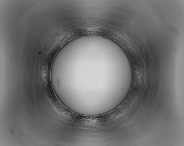 X0000111680698200907311219