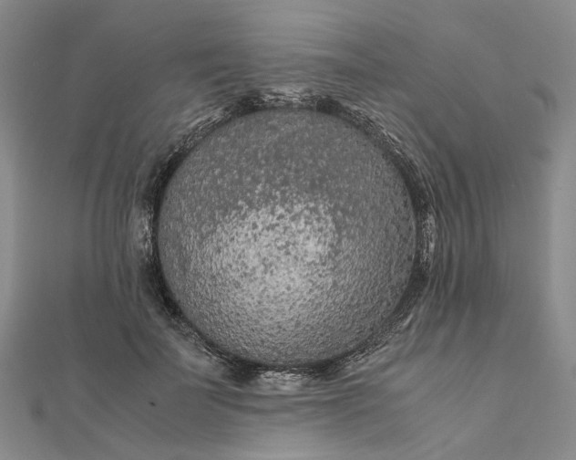 X0000111680699200907311219