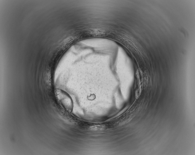 X0000111680700200907311219