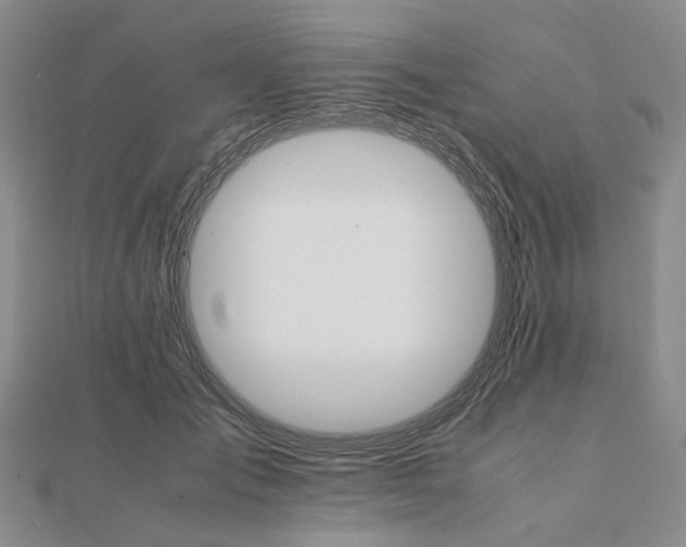 X0000111680701200907311219