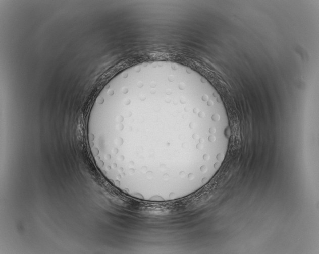 X0000111680702200907311219