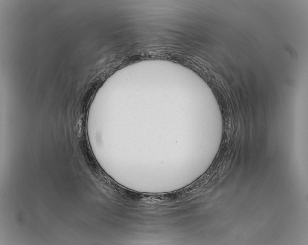 X0000111680703200907311219