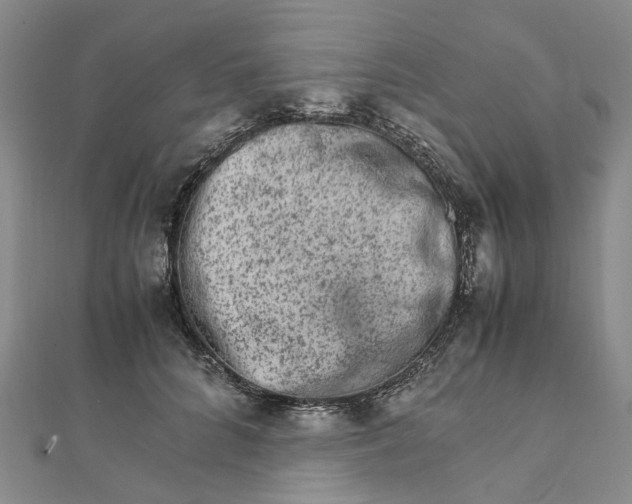 X0000111680704200907311219