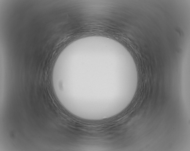 X0000111680705200907311219