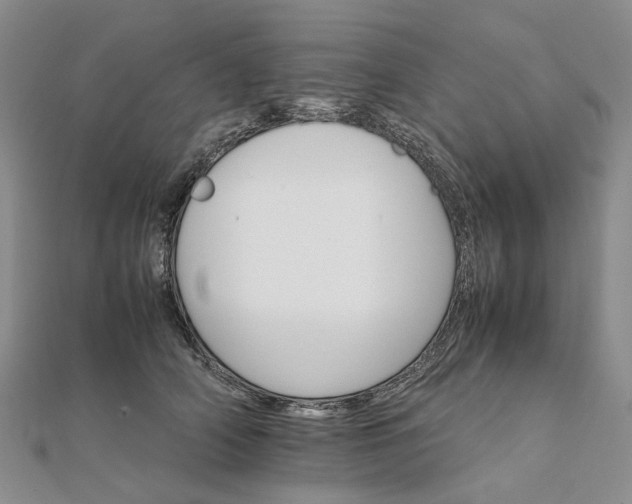 X0000111680706200907311219