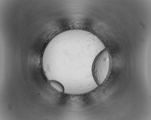 X0000111680709200907311219