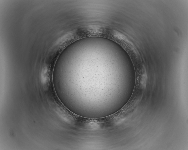 X0000111680710200907311219