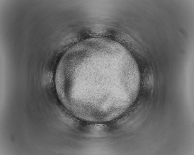 X0000111680711200907311219