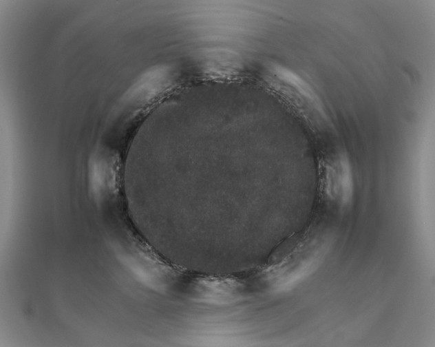 X0000111680712200907311219