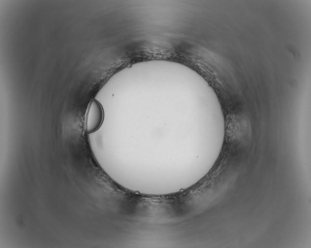 X0000111680713200907311219