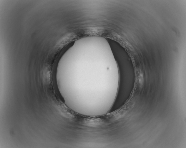 X0000111680716200907311219