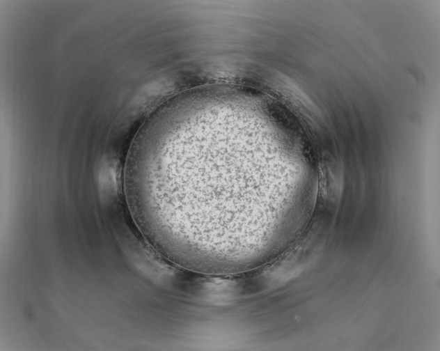 X0000111680718200907311219