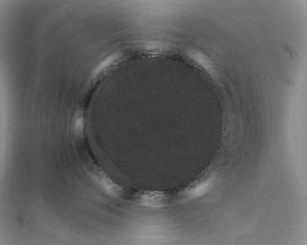 X0000111680720200907311219