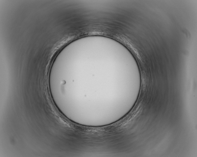 X0000111680721200907311219