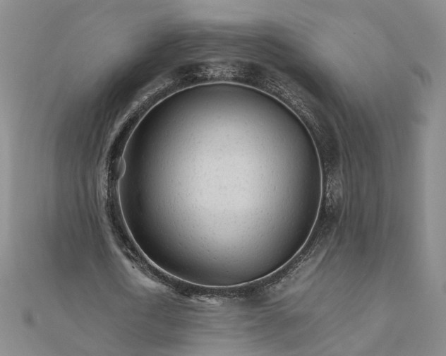 X0000111680722200907311219