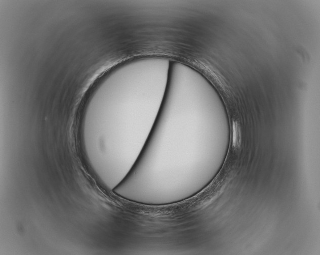 X0000111680723200907311219