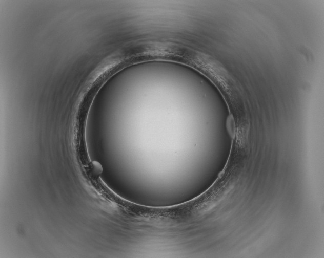 X0000111680724200907311219