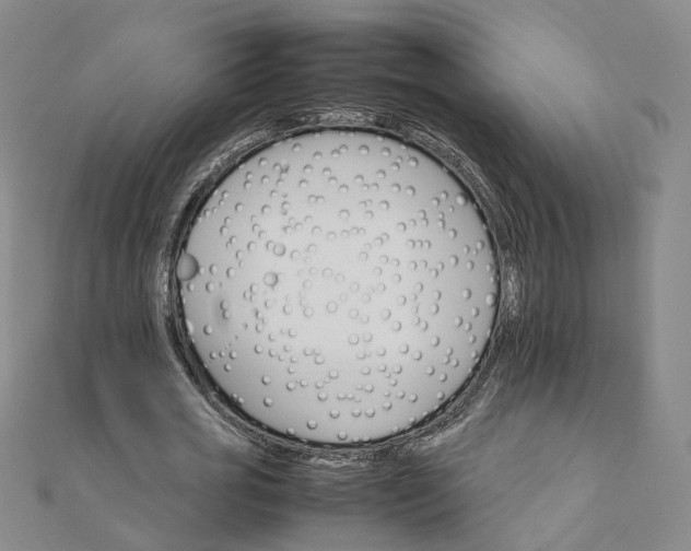 X0000111680725200907311219