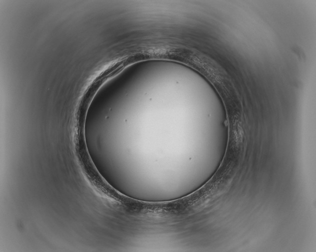 X0000111680728200907311219