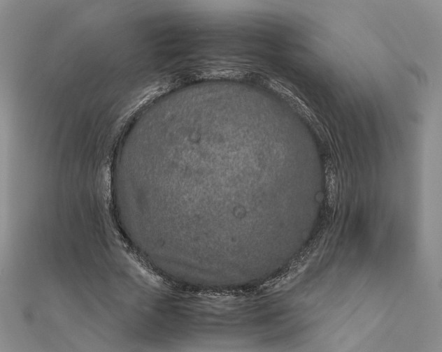 X0000111680729200907311219