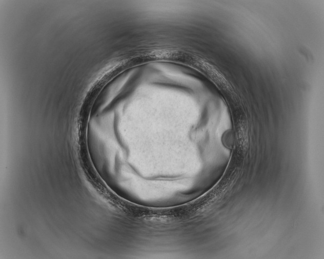 X0000111680730200907311219