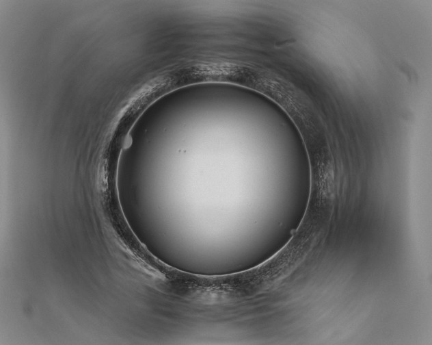 X0000111680731200907311219