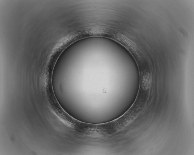 X0000111680732200907311219