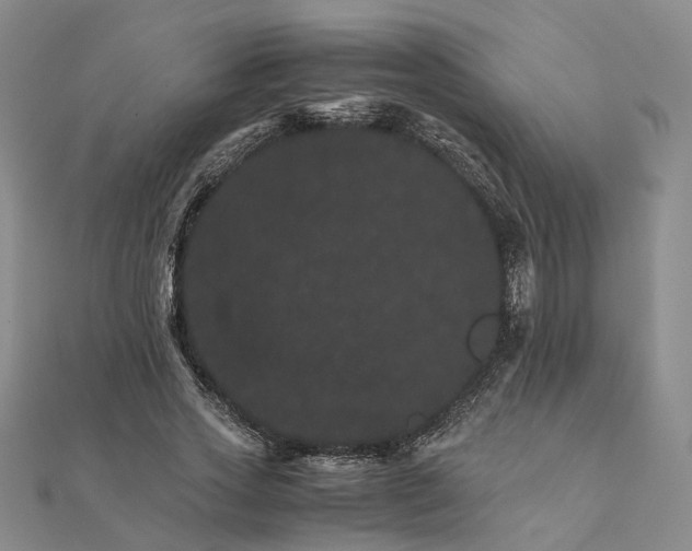 X0000111680733200907311219