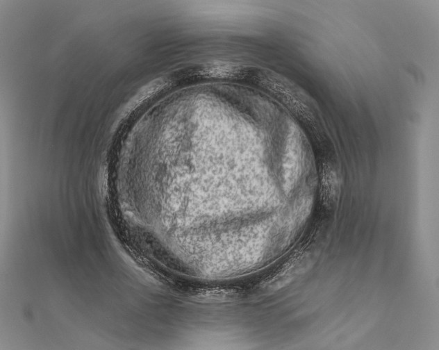 X0000111680734200907311219