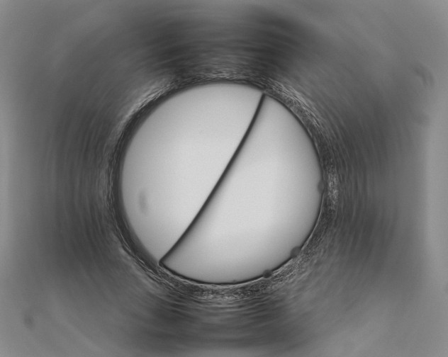 X0000111680735200907311219