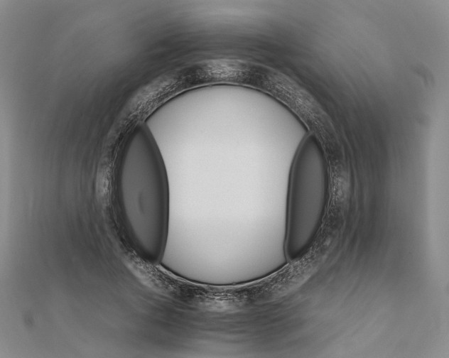 X0000111680736200907311219