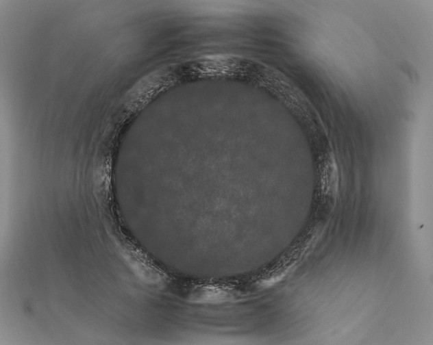 X0000111680737200907311219