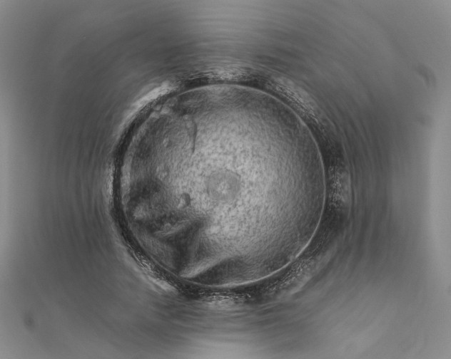 X0000111680738200907311219