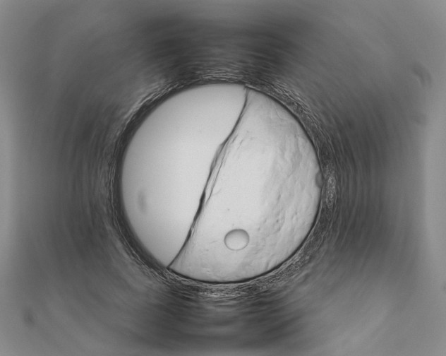 X0000111680739200907311219