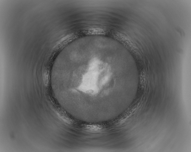 X0000111680741200907311219