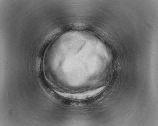 X0000111680742200907311219